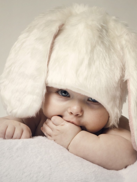 Cute Baby Bunny wallpaper 480x640