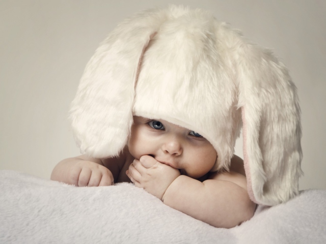 Das Cute Baby Bunny Wallpaper 640x480