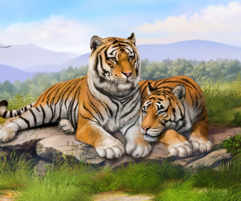 Fondo de pantalla Tigers Art 480x400