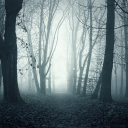 Foggy Shaded Wood wallpaper 128x128