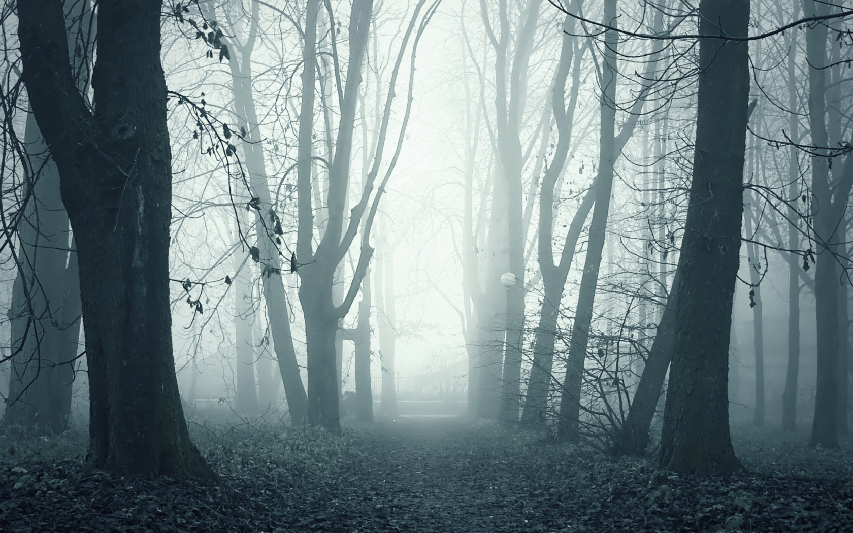 Das Foggy Shaded Wood Wallpaper 1680x1050