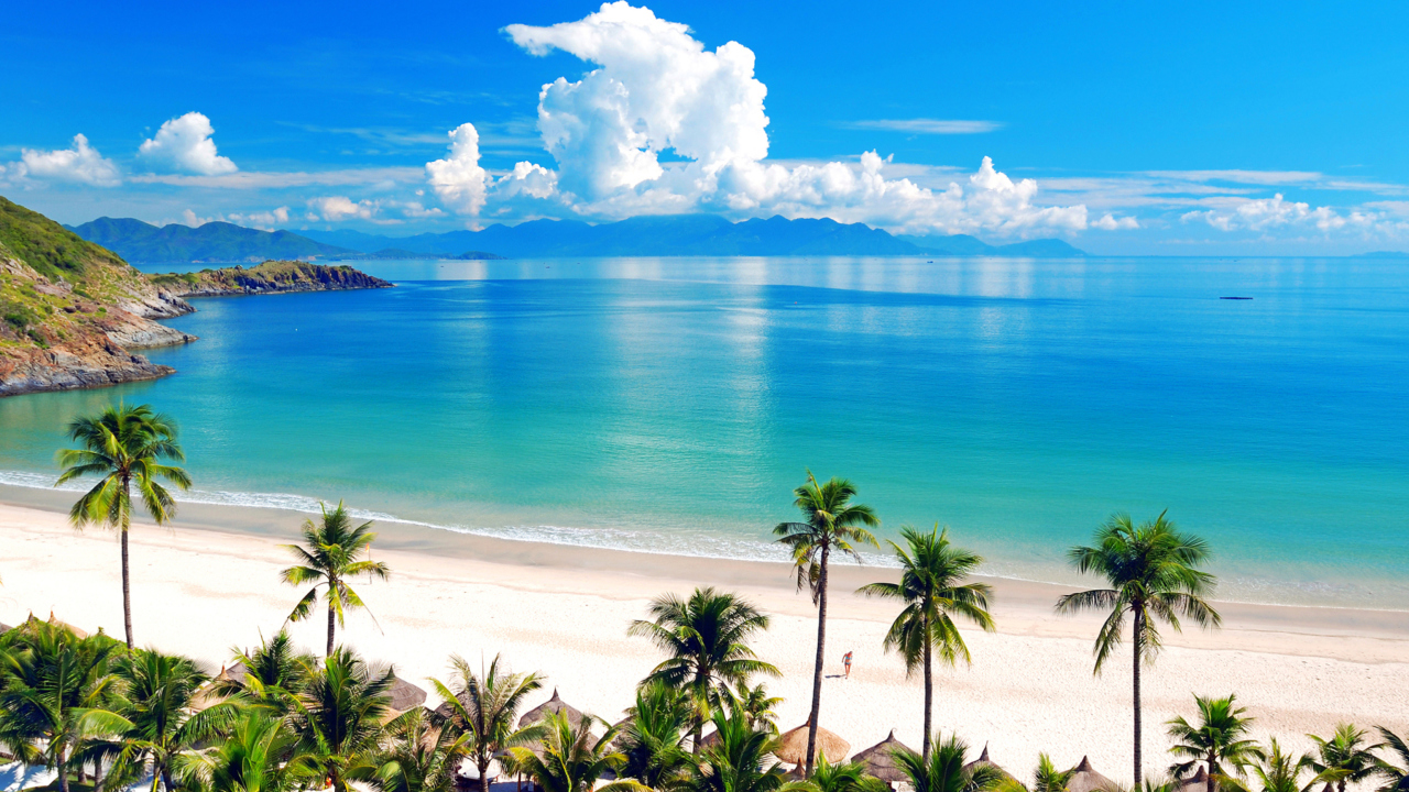 Palm Trees, Clouds And Sea wallpaper 1280x720