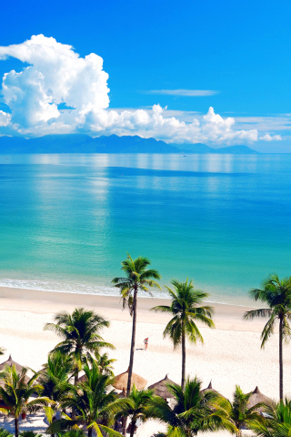 Palm Trees, Clouds And Sea wallpaper 320x480