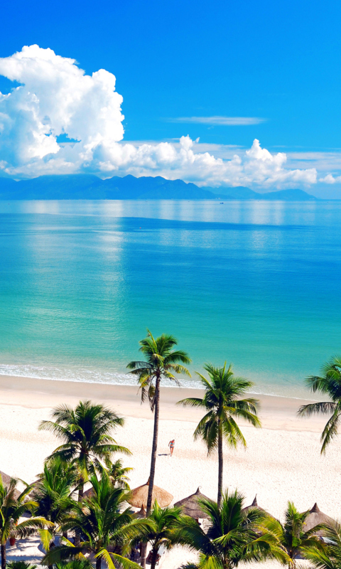 Das Palm Trees, Clouds And Sea Wallpaper 480x800