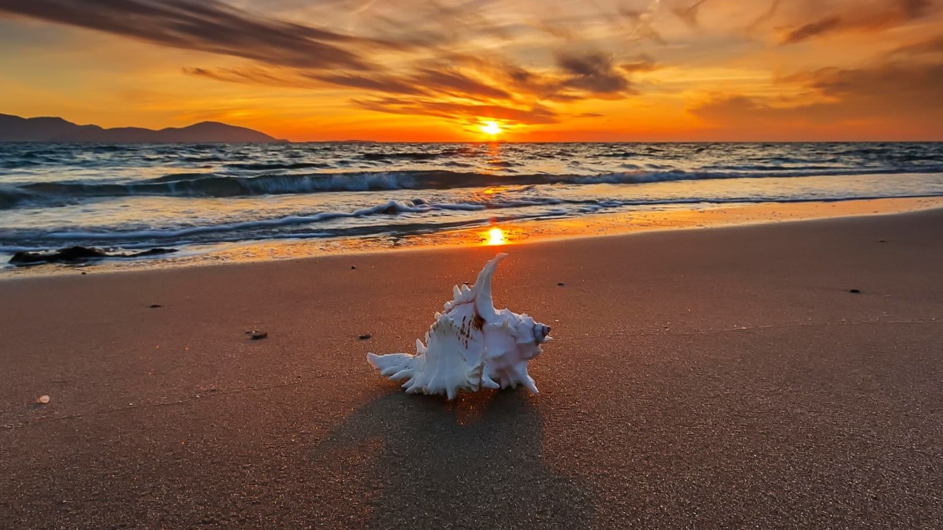 Fondo de pantalla Sunset on Beach with Shell 1366x768