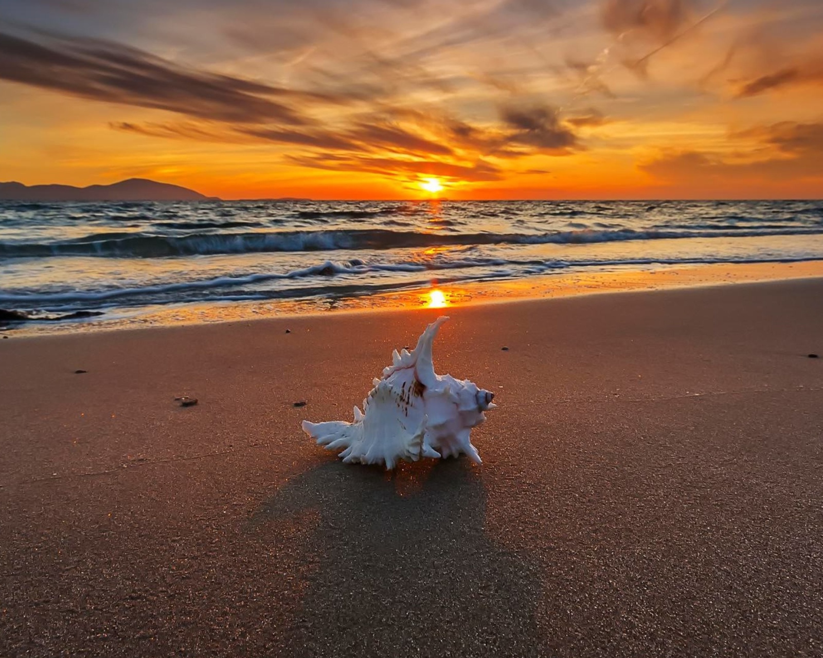 Sunset on Beach with Shell wallpaper 1600x1280