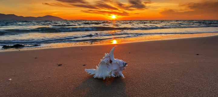 Fondo de pantalla Sunset on Beach with Shell 720x320