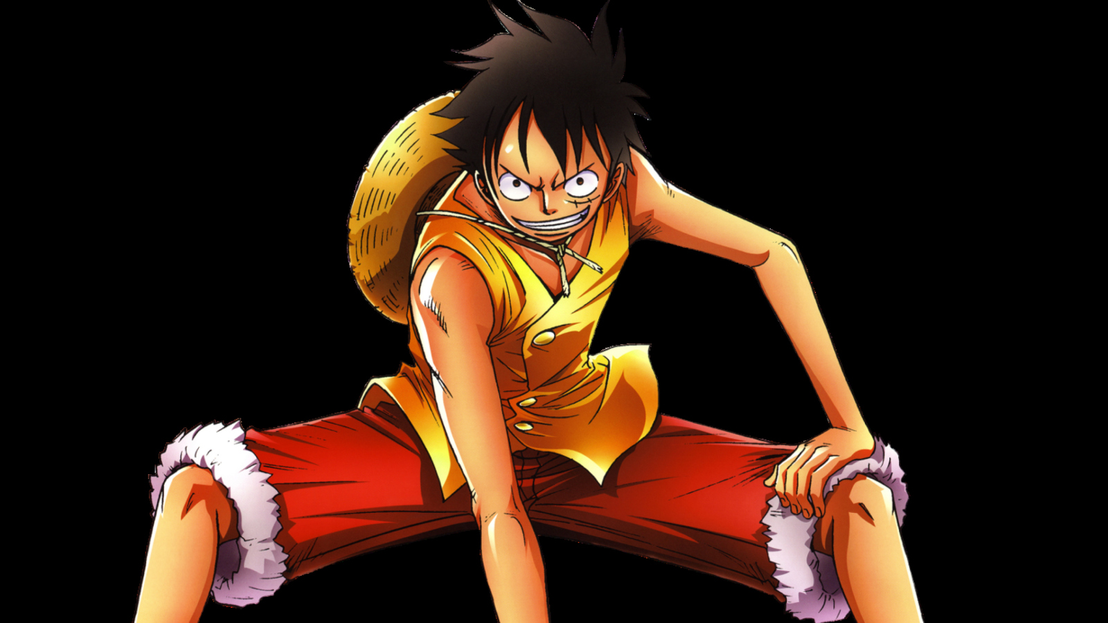 Monkey D. Luffy - The One Piece wallpaper 1600x900