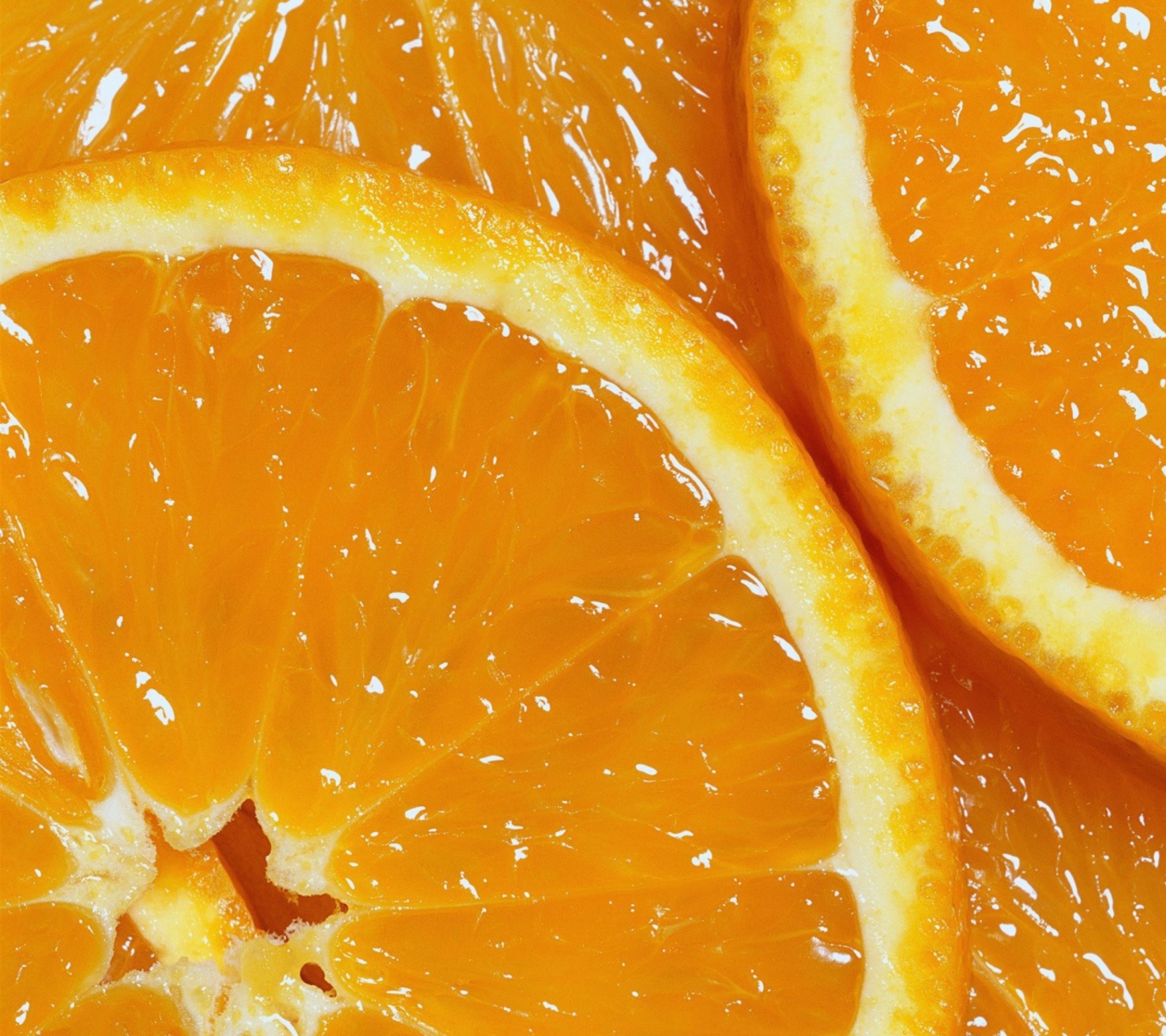 Das Orange Slices Wallpaper 1440x1280