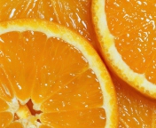 Fondo de pantalla Orange Slices 176x144