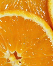 Fondo de pantalla Orange Slices 176x220