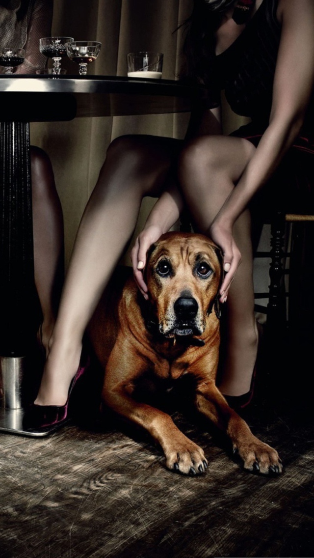 Das Dog And Beauties Wallpaper 640x1136