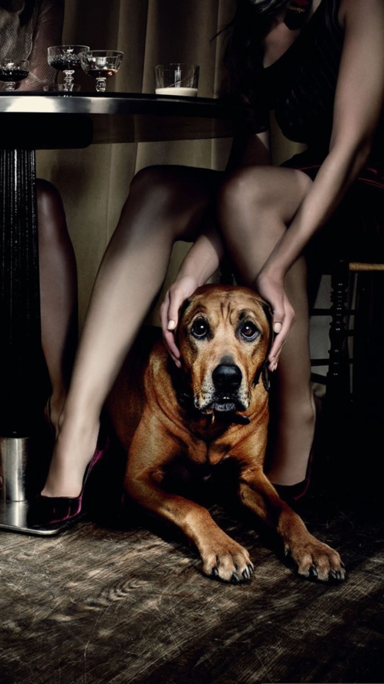 Dog And Beauties wallpaper 750x1334