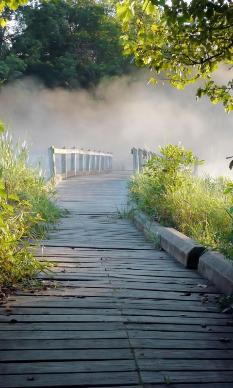 Обои Misty path in park 480x800