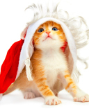 Fondo de pantalla Cat Wanna Be Santa 128x160