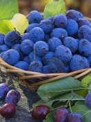 Fondo de pantalla Blueberries 132x176