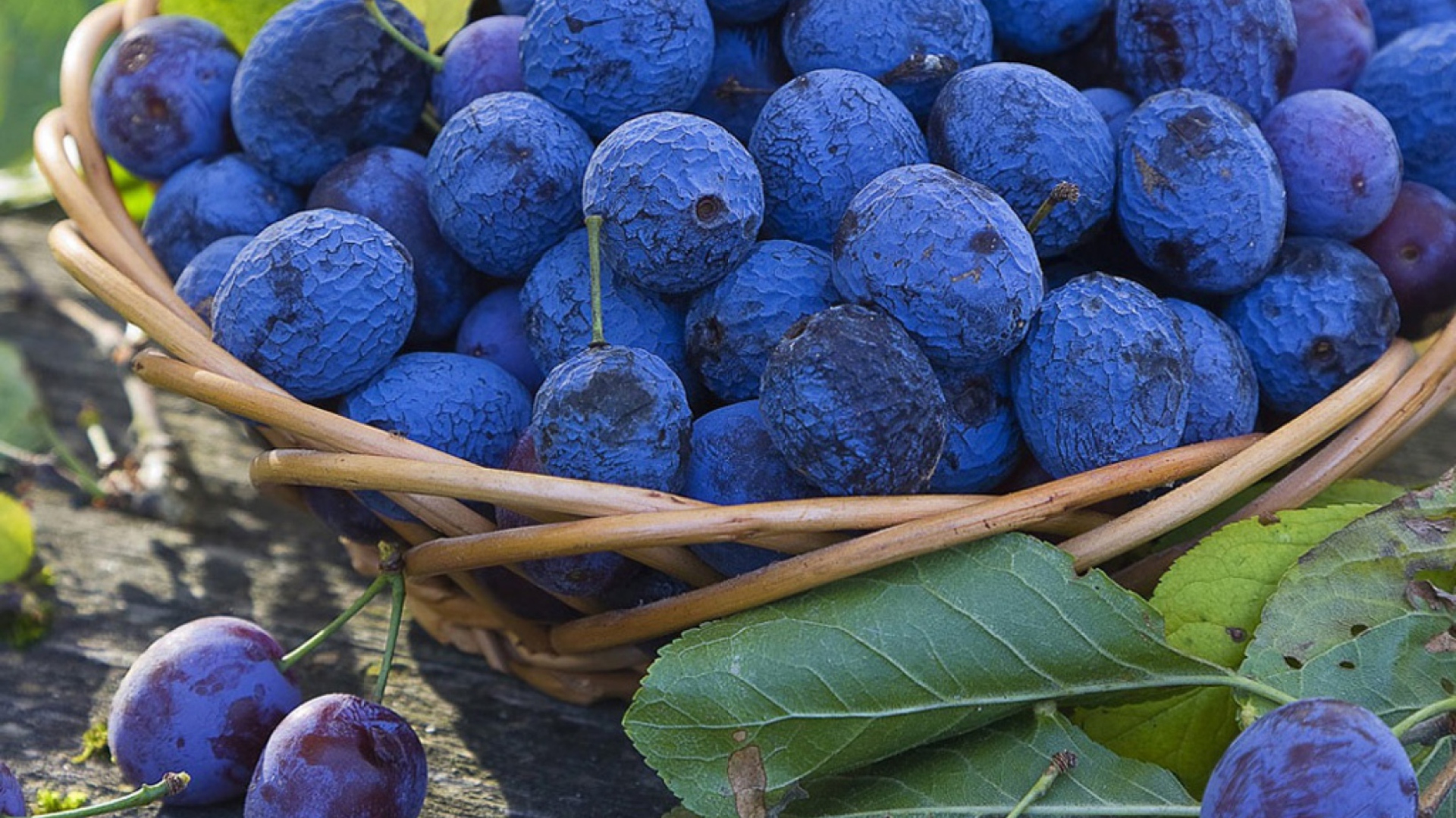 Sfondi Blueberries 1920x1080