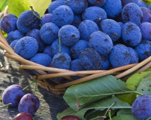 Fondo de pantalla Blueberries 220x176