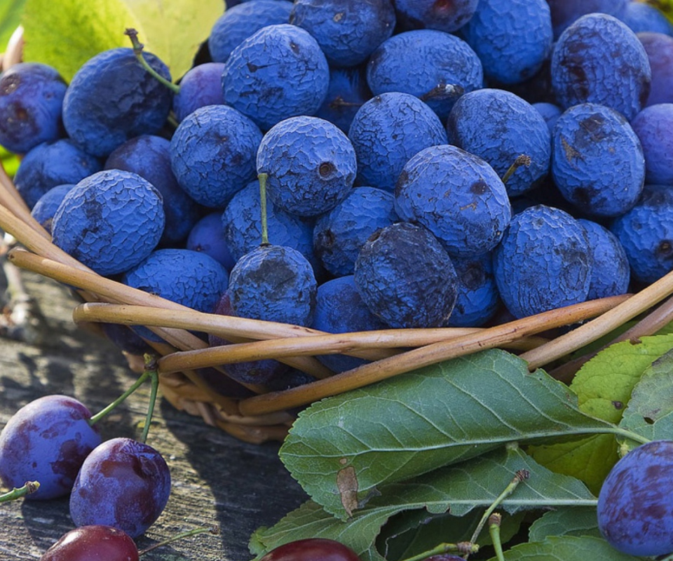 Das Blueberries Wallpaper 960x800