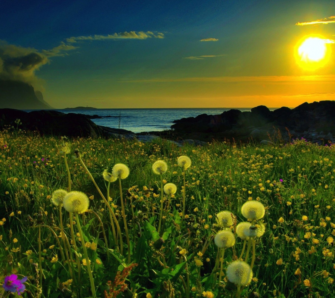 Meadow At Sunset screenshot #1 1080x960
