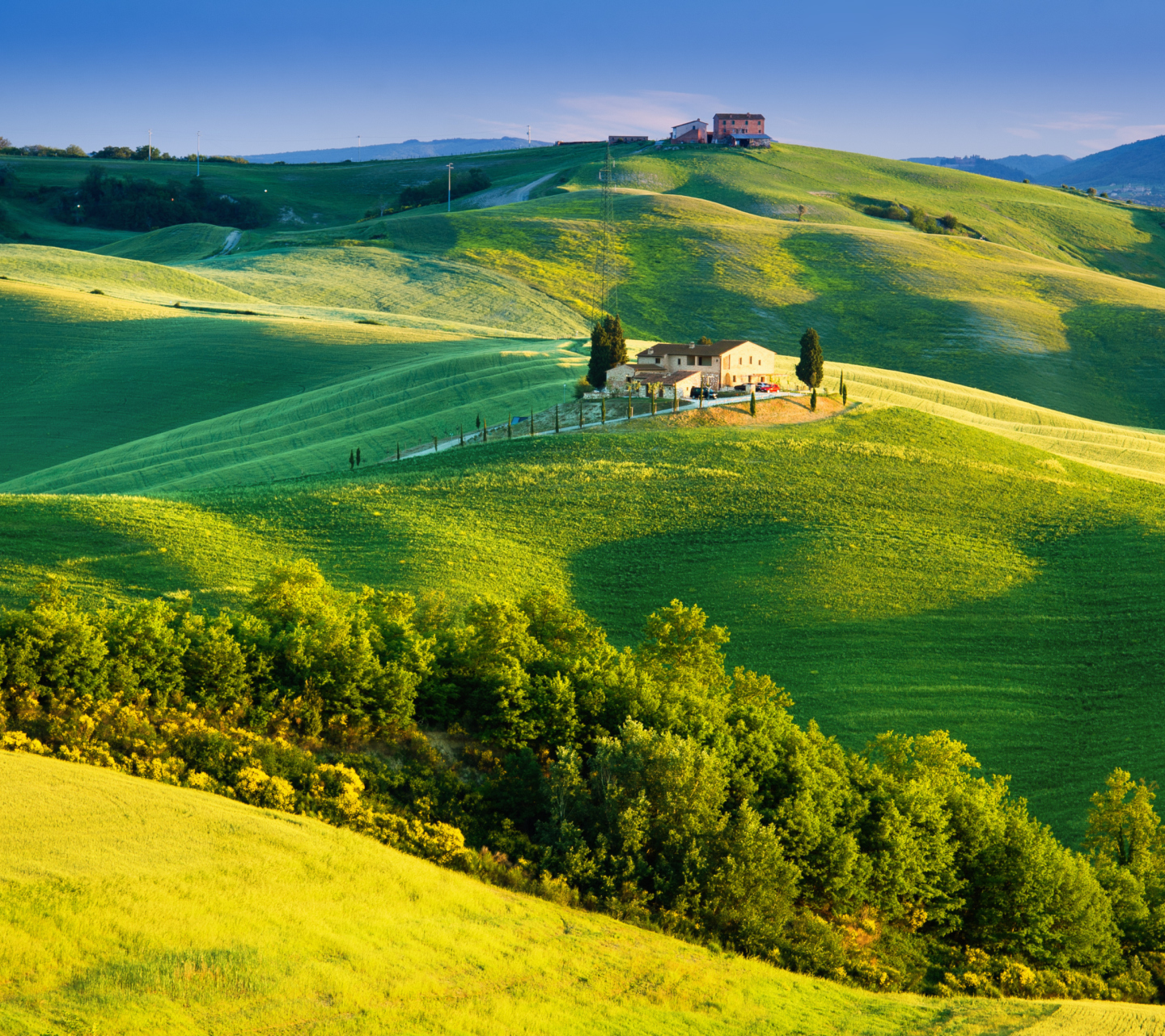 Italy, Tuscany wallpaper 1440x1280