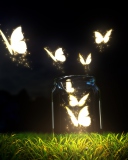 Das Light Butterflies Wallpaper 128x160