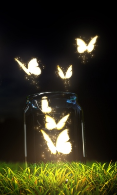 Light Butterflies wallpaper 240x400