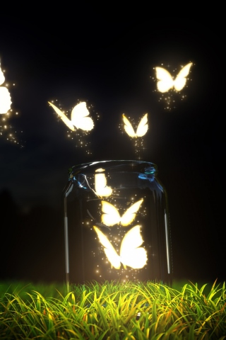 Das Light Butterflies Wallpaper 320x480