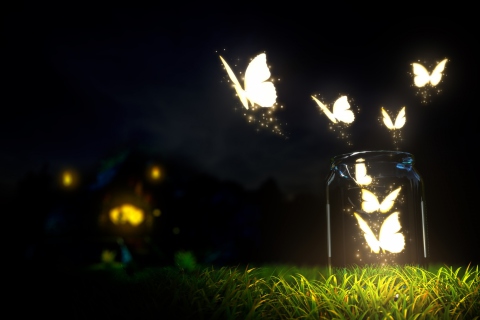 Light Butterflies wallpaper 480x320