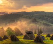 Autumn in Ukraine screenshot #1 176x144