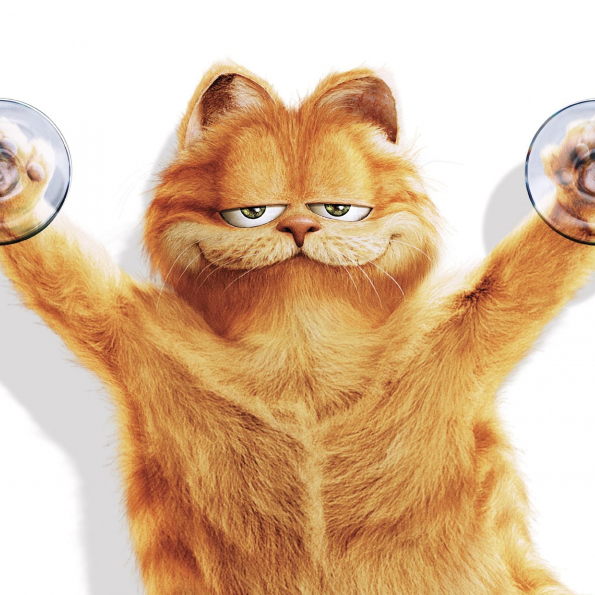 Screenshot №1 pro téma Garfield 2048x2048