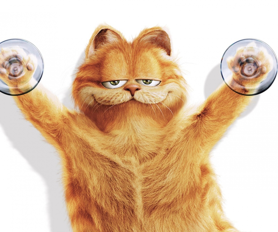 Fondo de pantalla Garfield 960x800