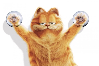 Garfield - Obrázkek zdarma pro Nokia X2-01