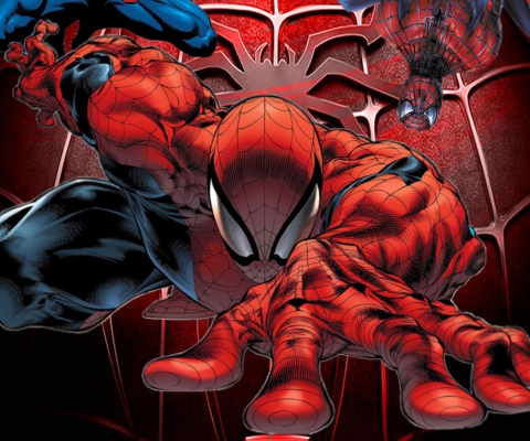 Fondo de pantalla Spiderman 480x400