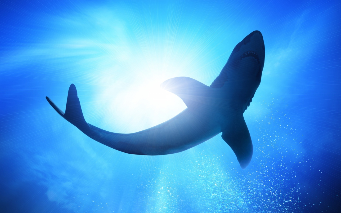 Fondo de pantalla Big Shark 1440x900