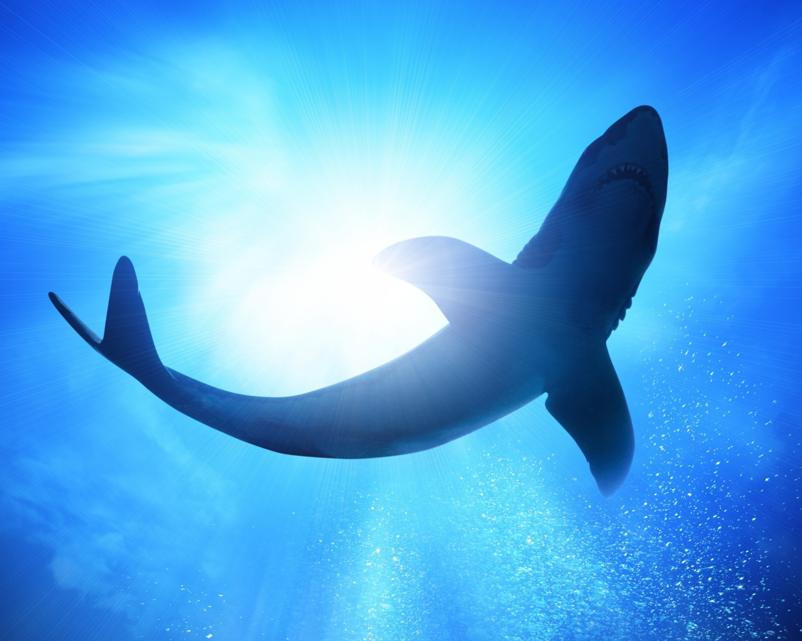 Fondo de pantalla Big Shark 1600x1280